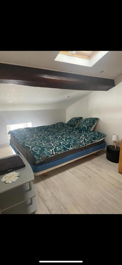 Saint-Chamond Aparthotel ภายนอก รูปภาพ